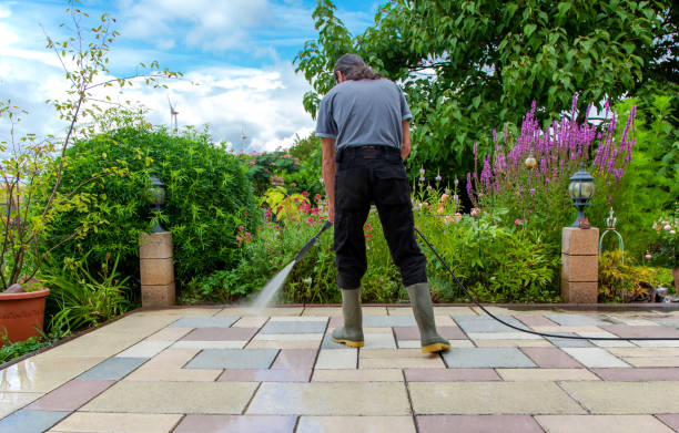 Best Patio and Deck Pressure Washing  in Lyndhurst, VA